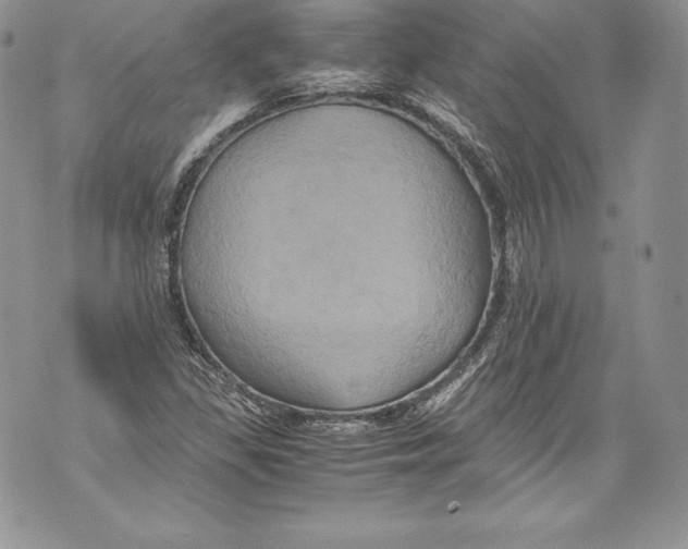 X0000071861309200607290147