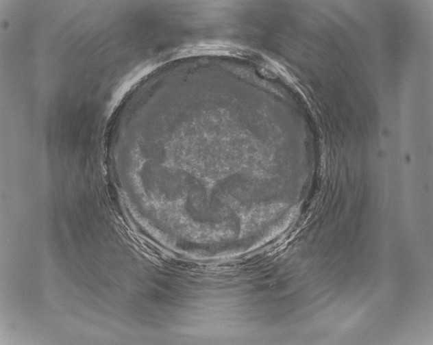 X0000071861312200607290147