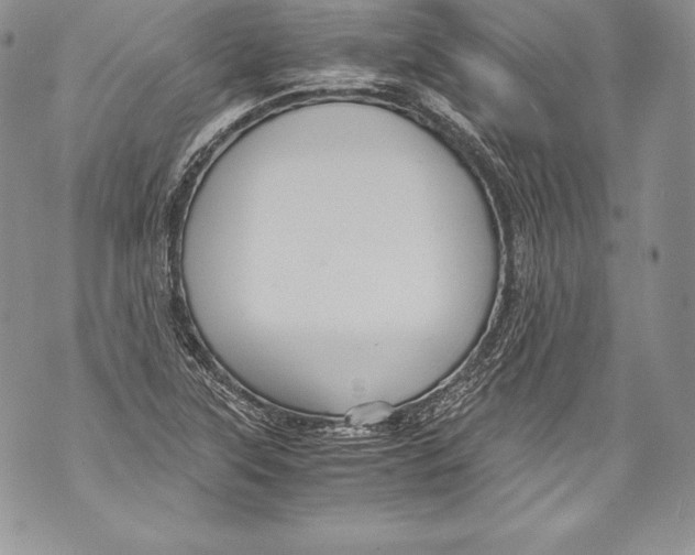 X0000071861315200607290147