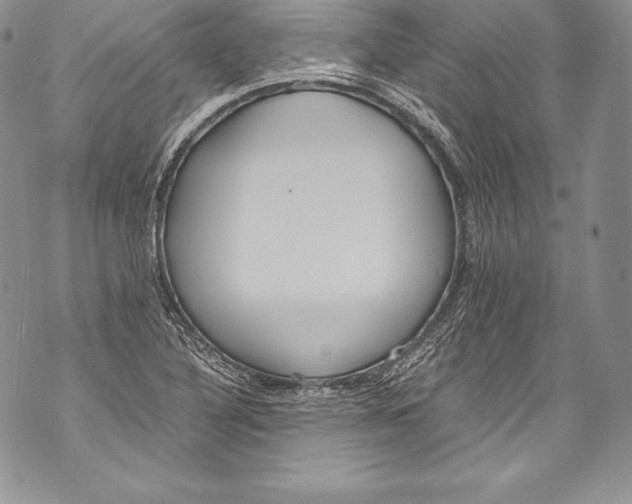 X0000071861316200607290147