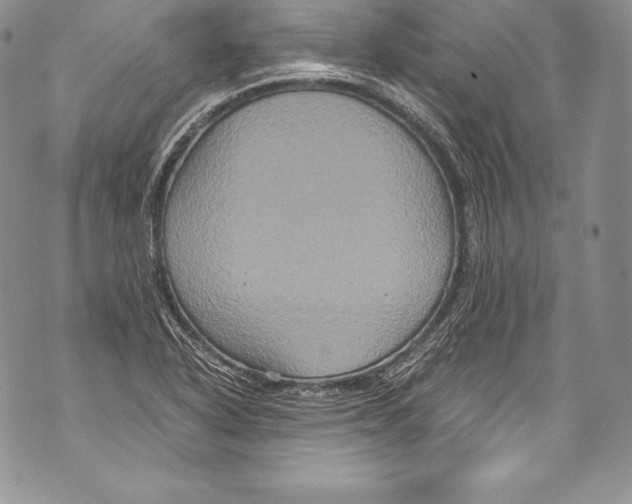 X0000071861318200607290147