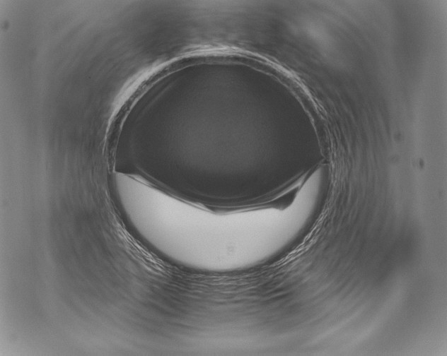 X0000071861319200607290147