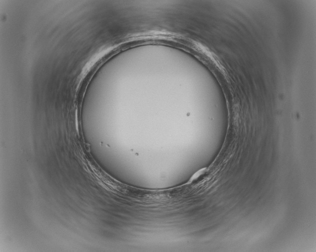 X0000071861320200607290147