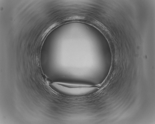 X0000071861321200607290147