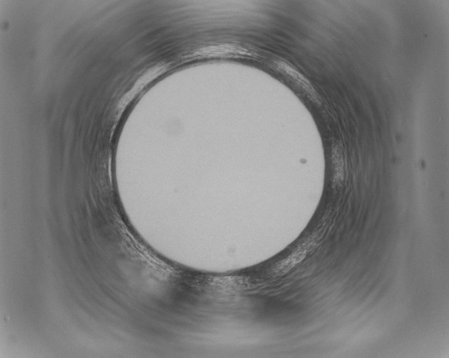 X0000071861322200607290147