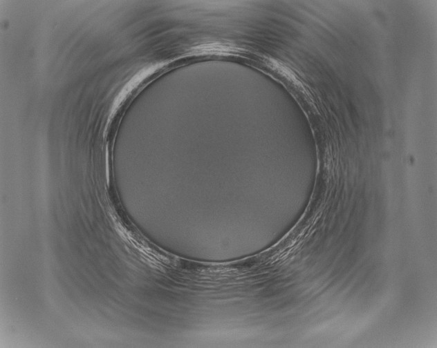 X0000071861323200607290147