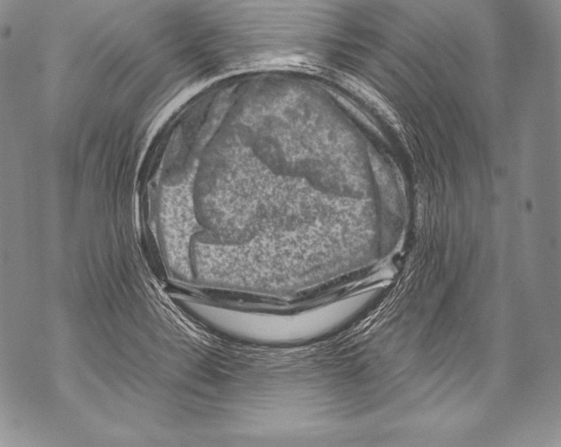 X0000071861324200607290147