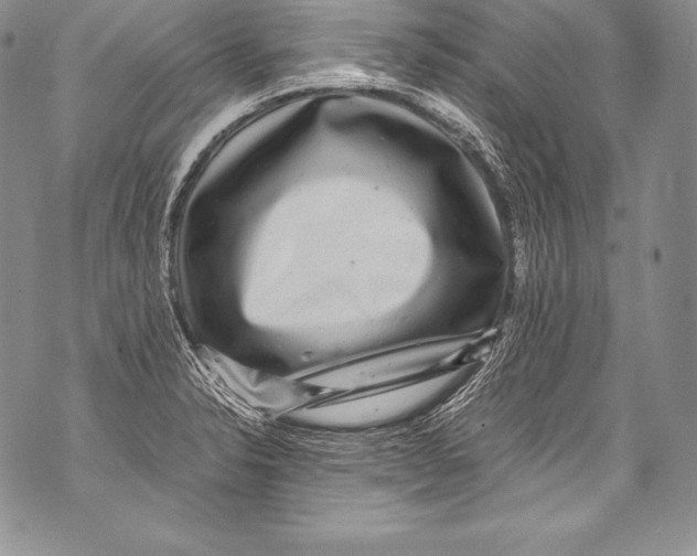 X0000071861326200607290147