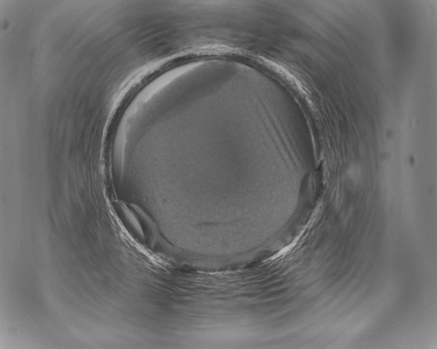 X0000071861327200607290147