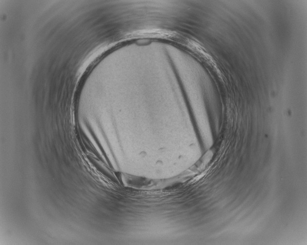 X0000071861328200607290148