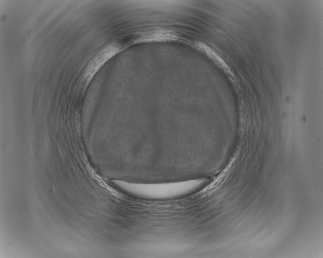 X0000071861329200607290148