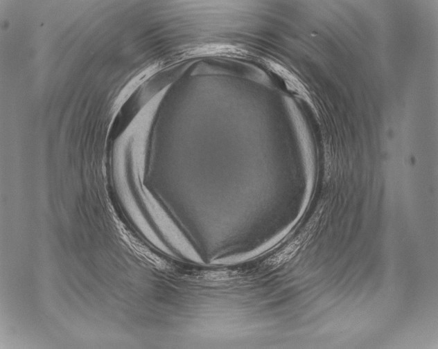 X0000071861330200607290148