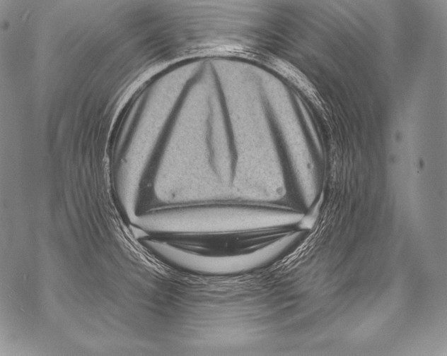 X0000071861332200607290148