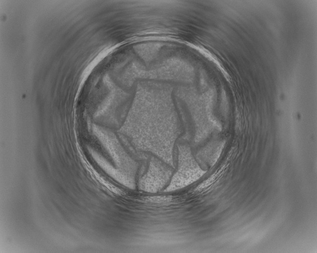 X0000071861333200607290148