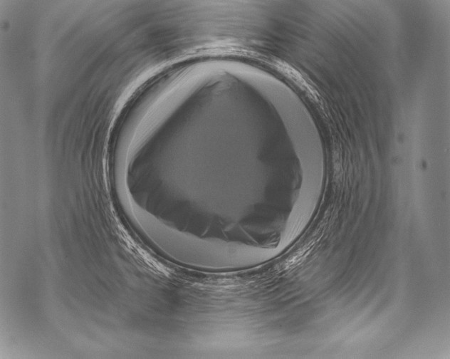 X0000071861334200607290148