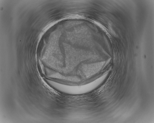 X0000071861335200607290148