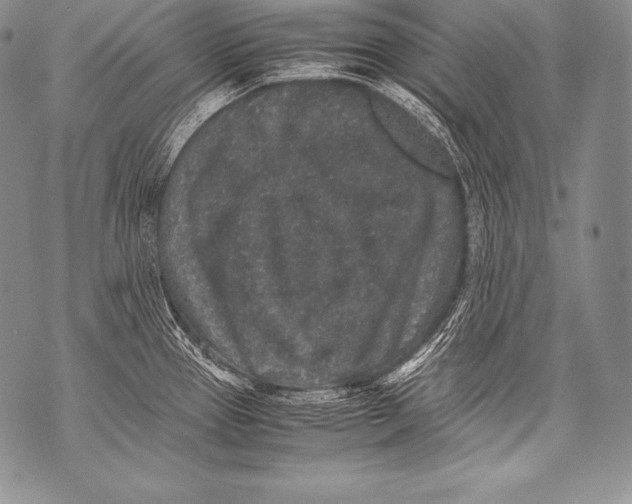 X0000071861337200607290148