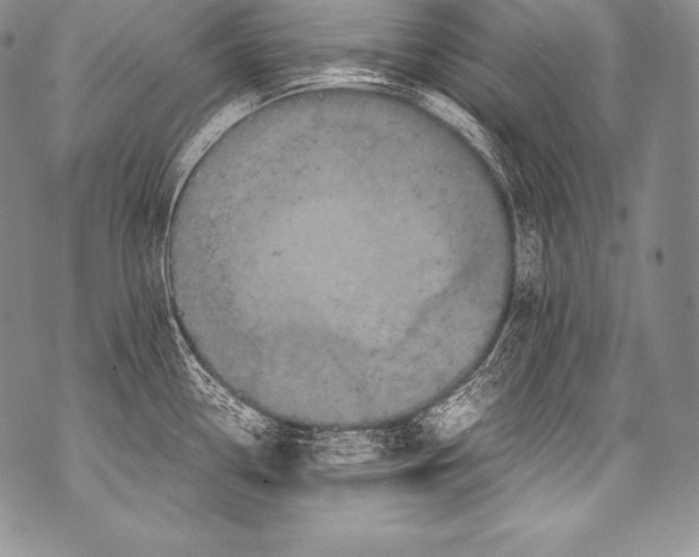 X0000071861338200607290148