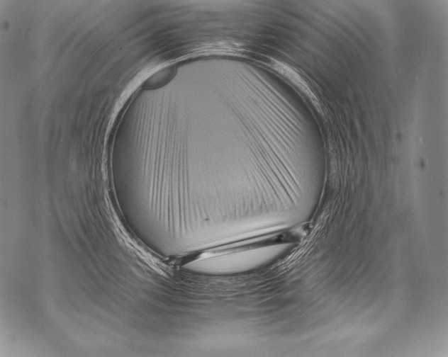 X0000071861339200607290148