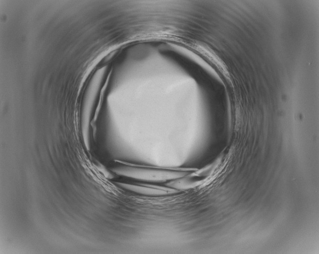 X0000071861340200607290148