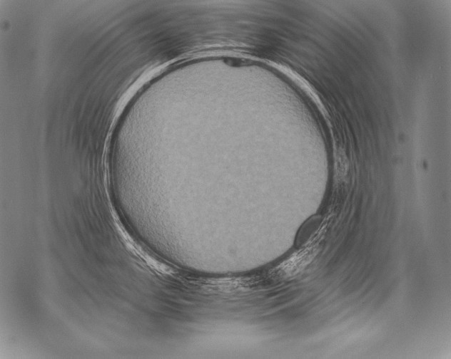 X0000071861341200607290148