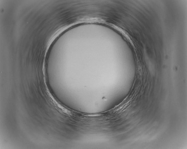 X0000071861343200607290148