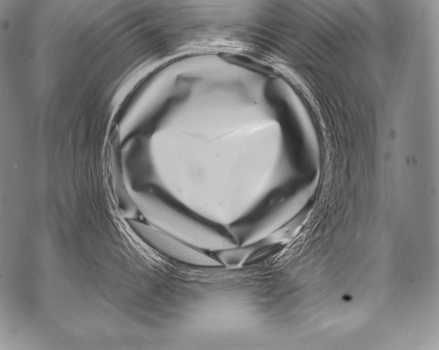 X0000071861344200607290148