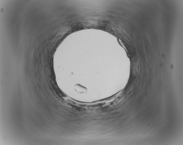 X0000071861345200607290147