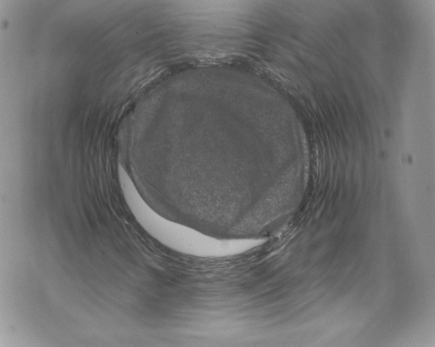 X0000071861346200607290147