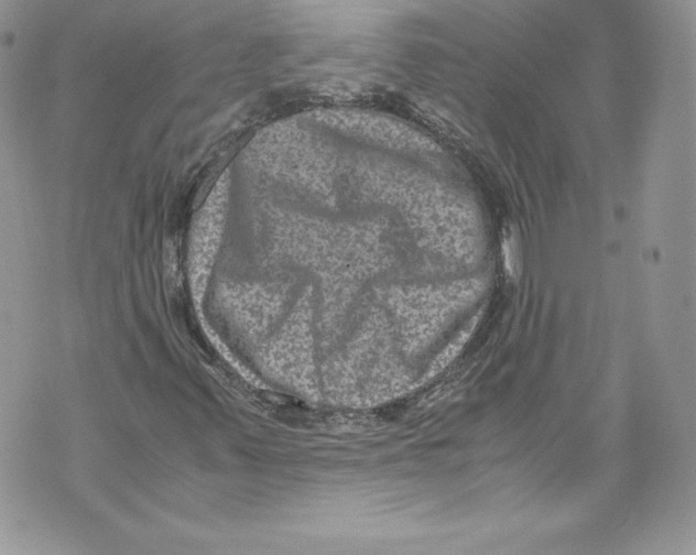 X0000071861347200607290147