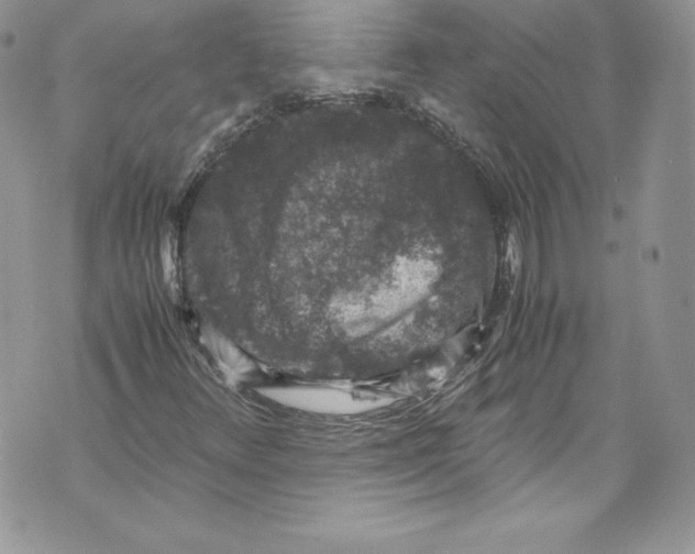 X0000071861348200607290147