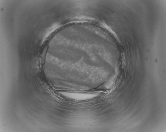 X0000071861352200607290147