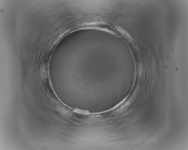 X0000071861353200607290147