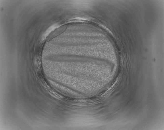 X0000071861355200607290147