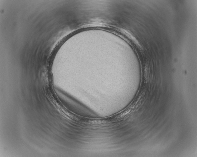 X0000071861356200607290147