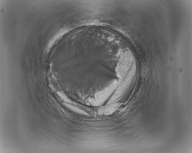 X0000071861359200607290147