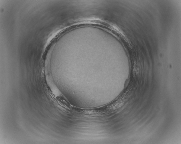 X0000071861360200607290147