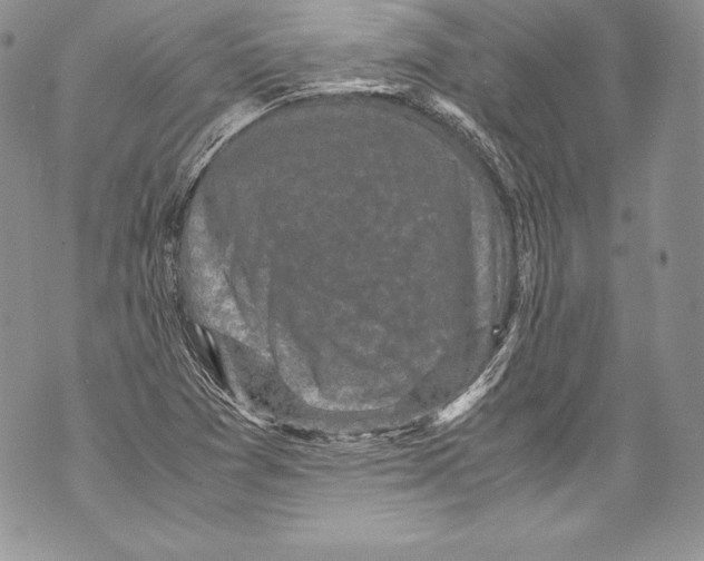 X0000071861361200607290147