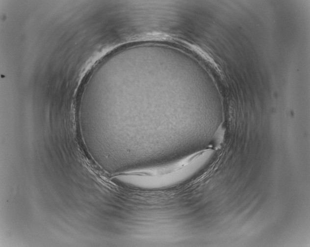 X0000071861364200607290147