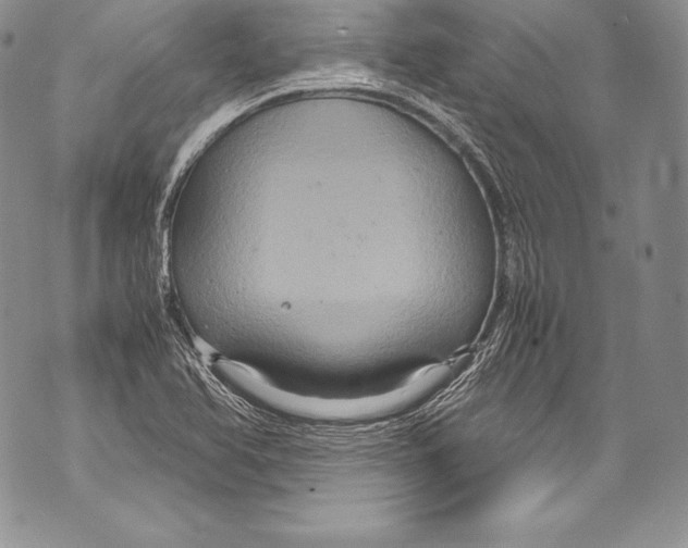 X0000071861366200607290147