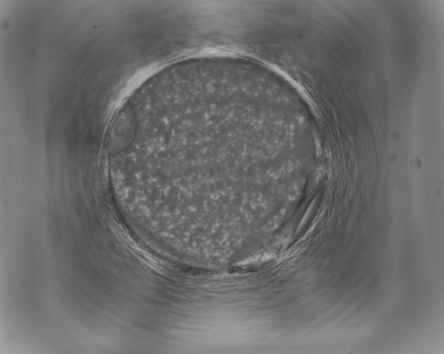 X0000071861367200607290147