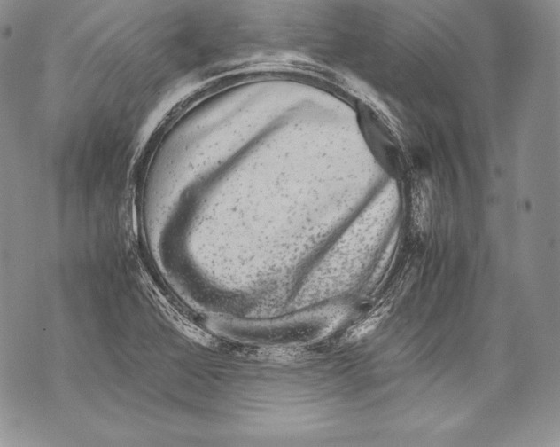 X0000071861368200607290147