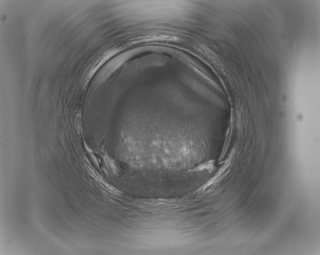 X0000071861369200607290147