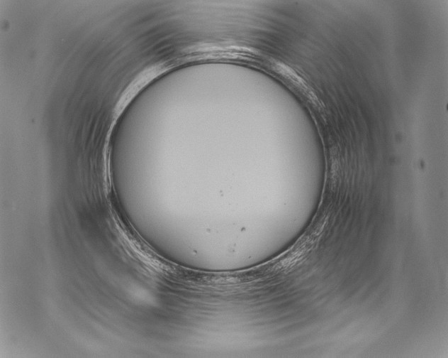 X0000071861370200607290147