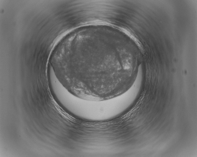 X0000071861372200607290147