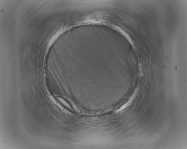 X0000071861373200607290147