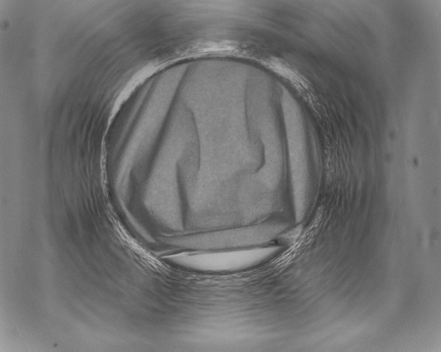 X0000071861374200607290147