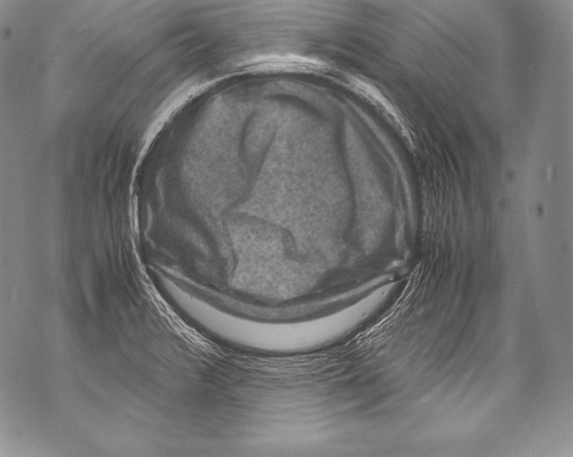 X0000071861376200607290146