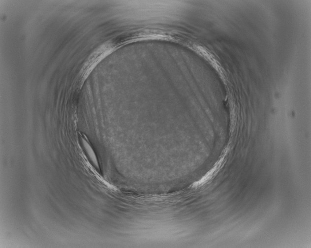 X0000071861377200607290146