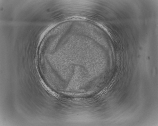 X0000071861379200607290146